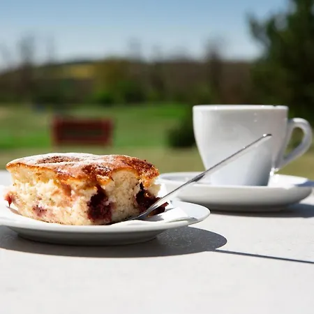 Ośrodek wypoczynkowy Darovansky Dvur - Wellness & Golf