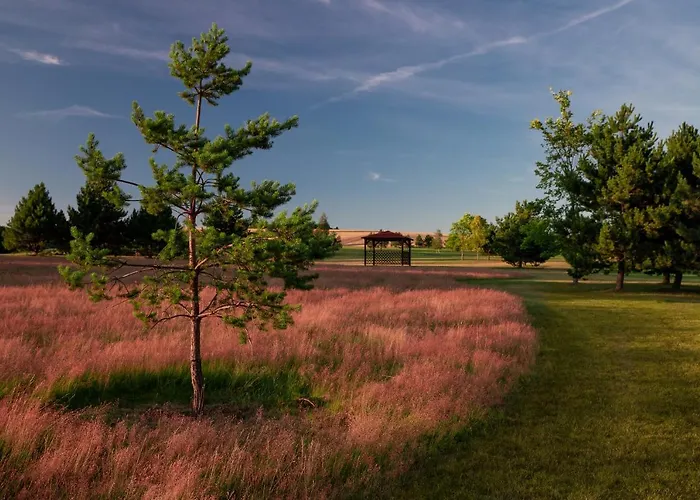 Darovansky Dvur - Wellness & Golf Курортный комплекс