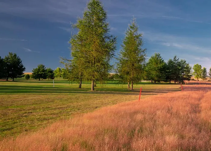 Darovansky Dvur - Wellness & Golf Курортный комплекс 4*