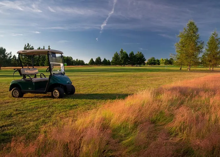 Курортный комплекс Darovansky Dvur - Wellness & Golf 4*